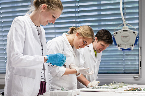 Studierende im Labor